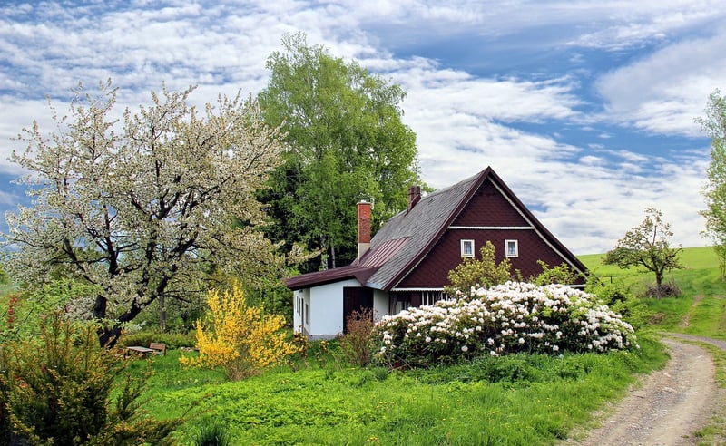 English Cottage Garden