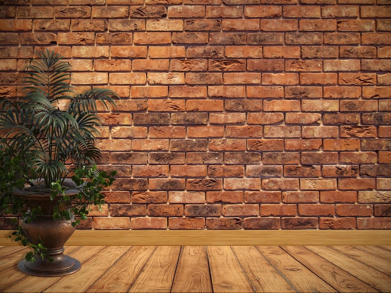 Wall-Mounted Planter